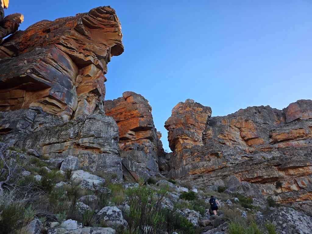 Night sky full of stars