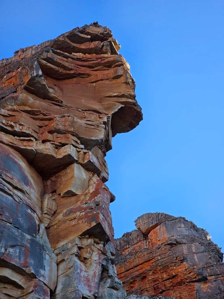 Night sky full of stars