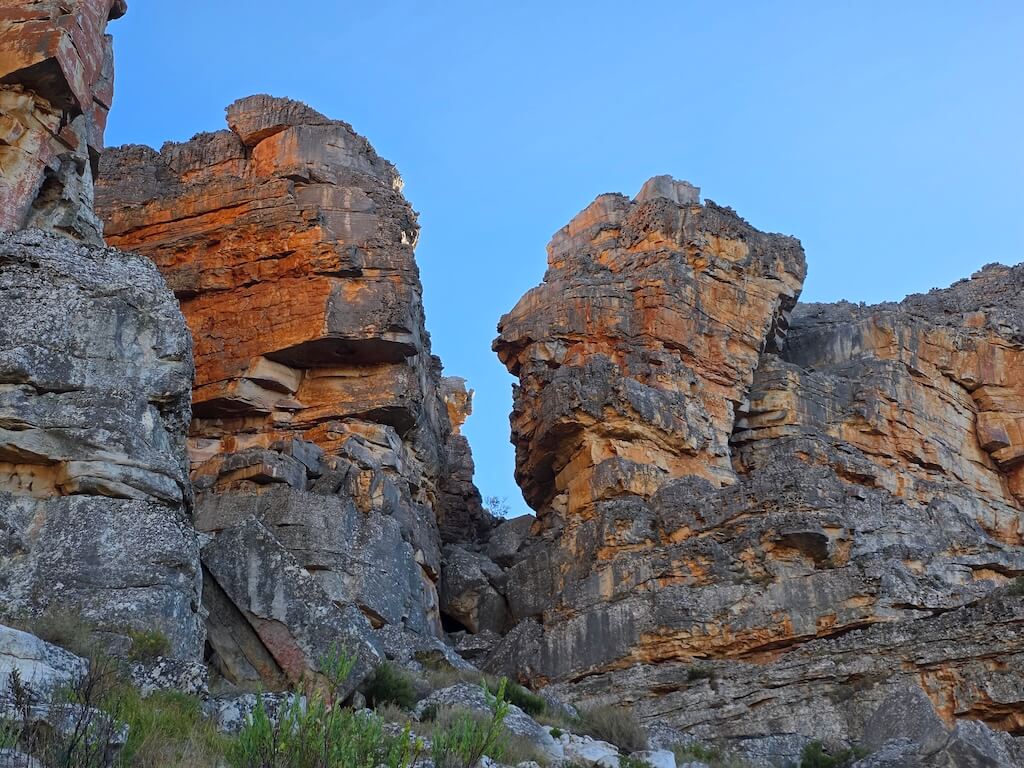 Night sky full of stars