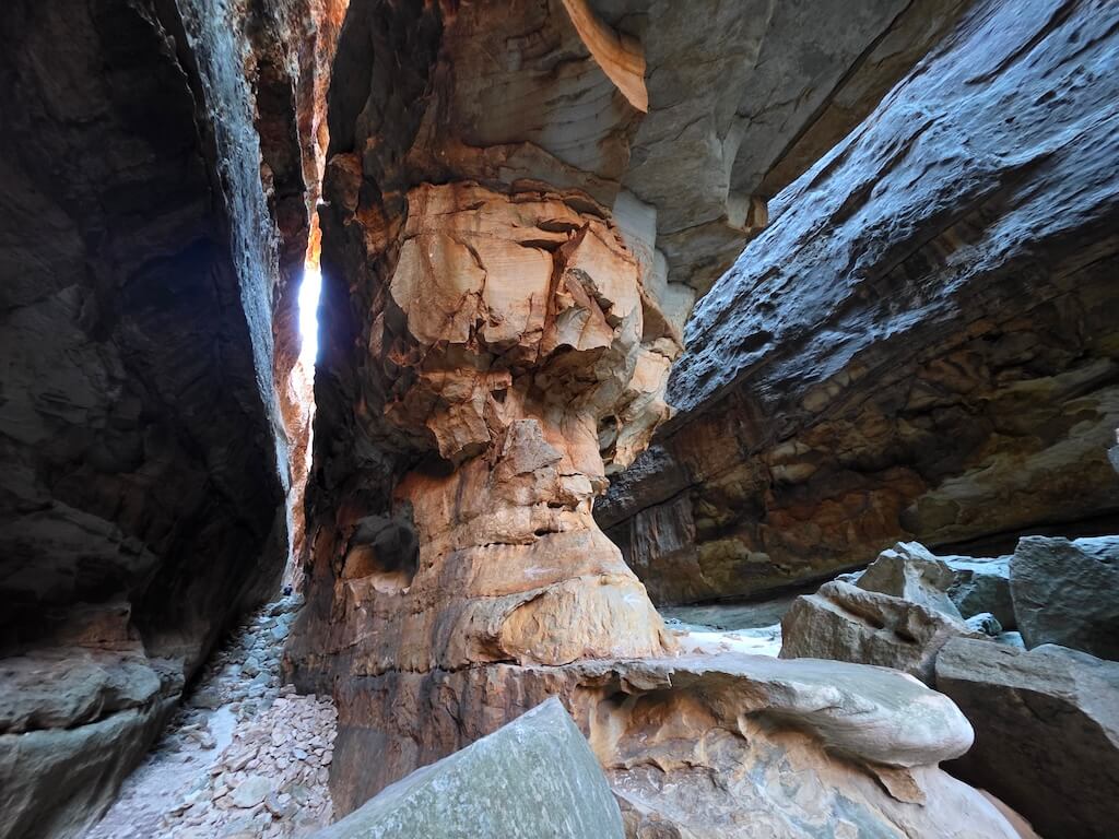 Night sky full of stars