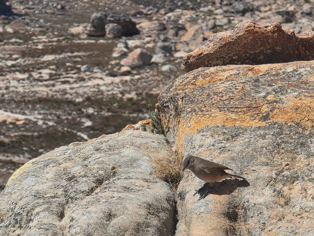 Small waterfall flowing through orange rock